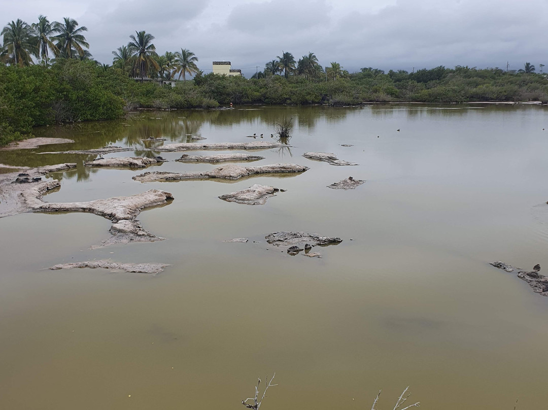 Laguna Salinas-维里亚米尔港必去景点