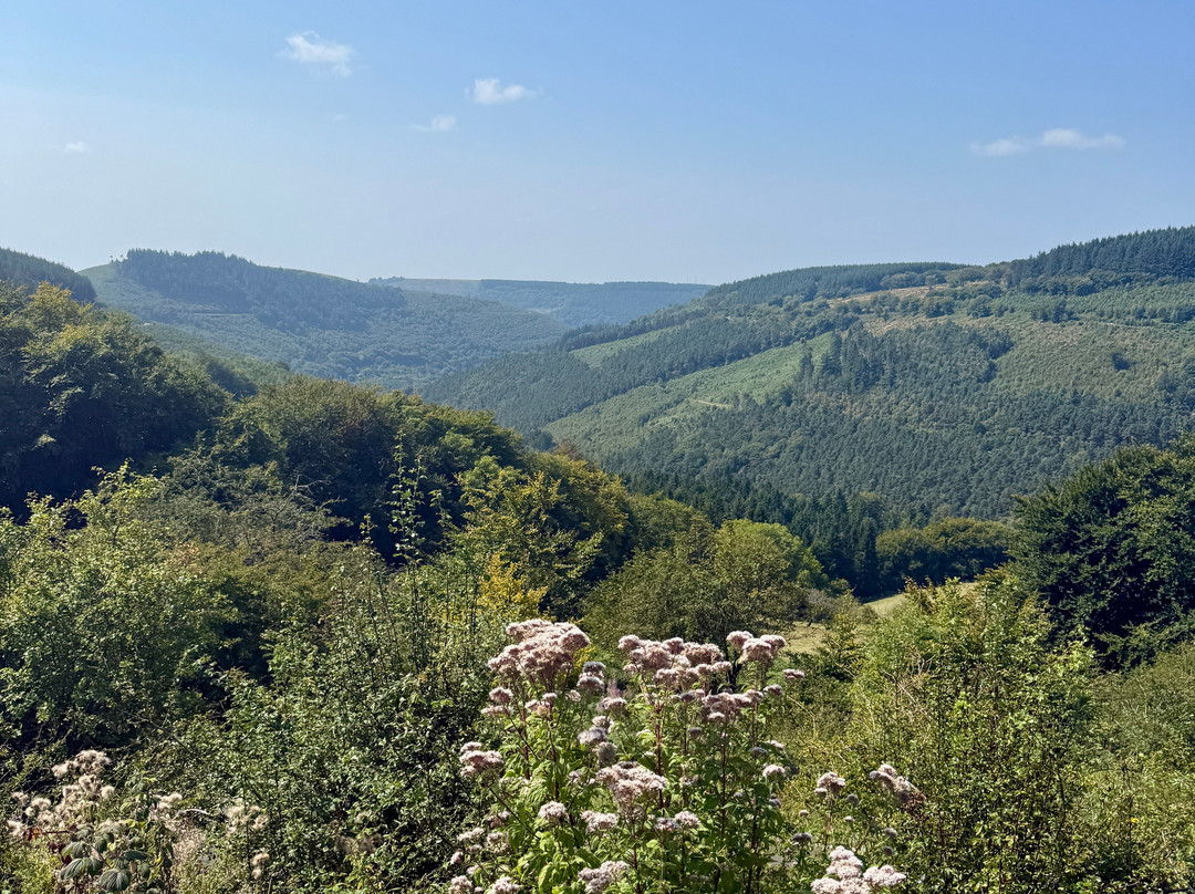 Cwmcarn Forest-Cwmcarn必去景点