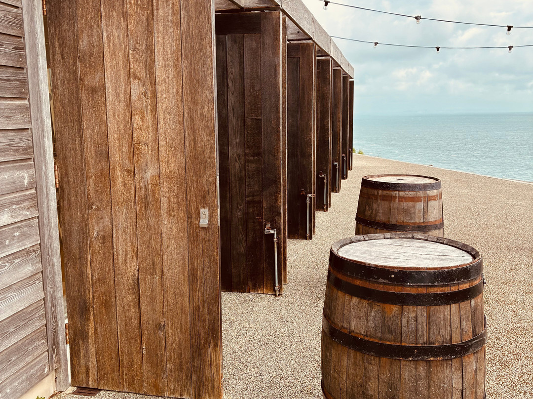 Durlston Country Park-斯沃尼奇必去景点