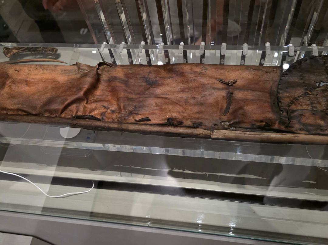 South Tyrol Museum of Archaeology-博尔扎诺必去景点