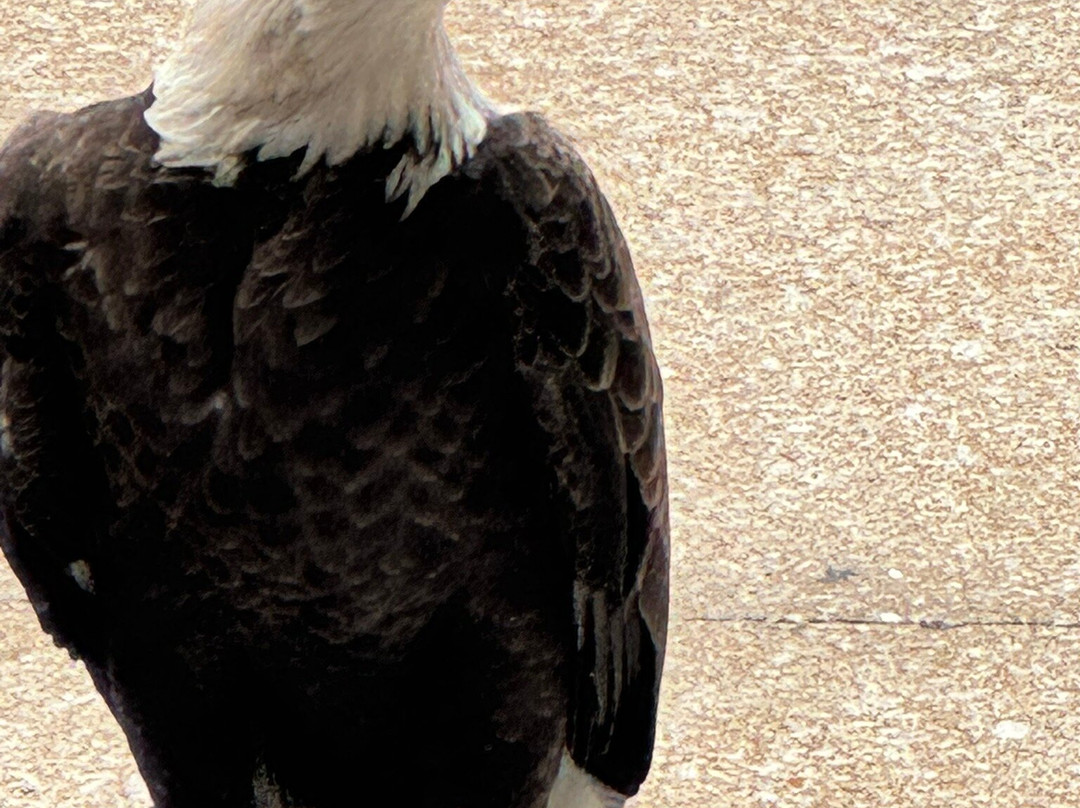 World Bird Sanctuary-Valley Park必去景点