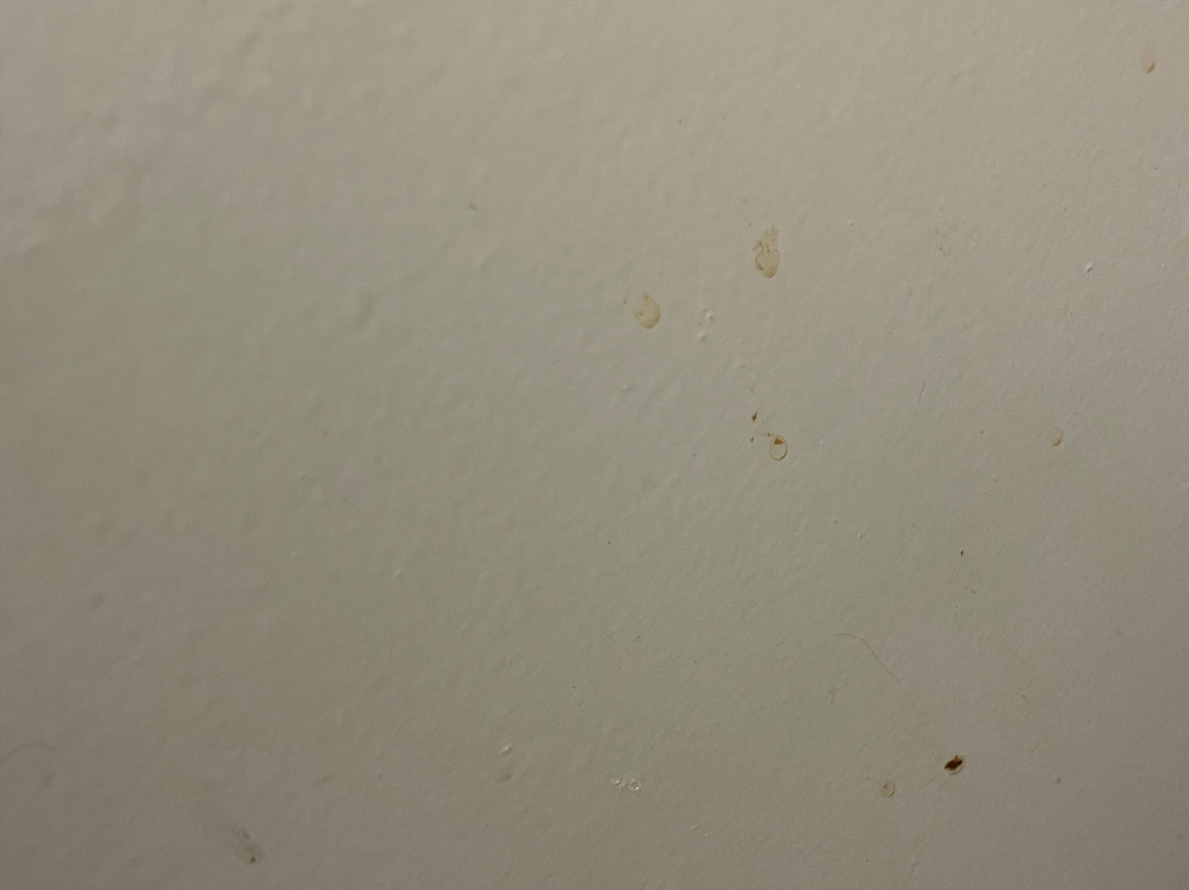 Travelodge Rugeley主图