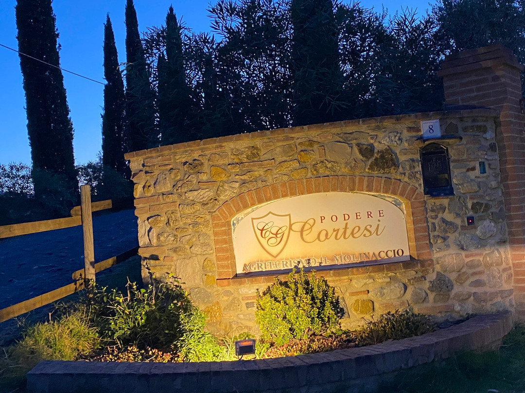 Podere Cortesi Agriturismo Molinaccio主图