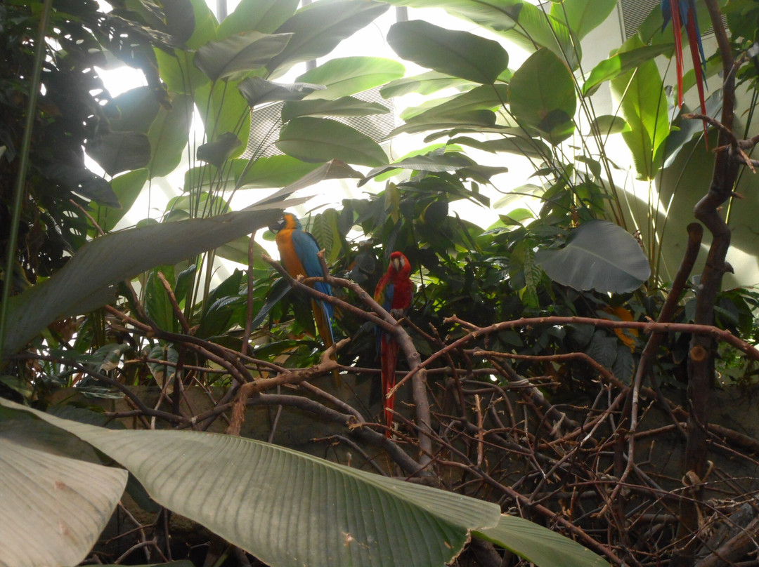 蒙特利尔自然生态博物馆-蒙特利尔必去景点