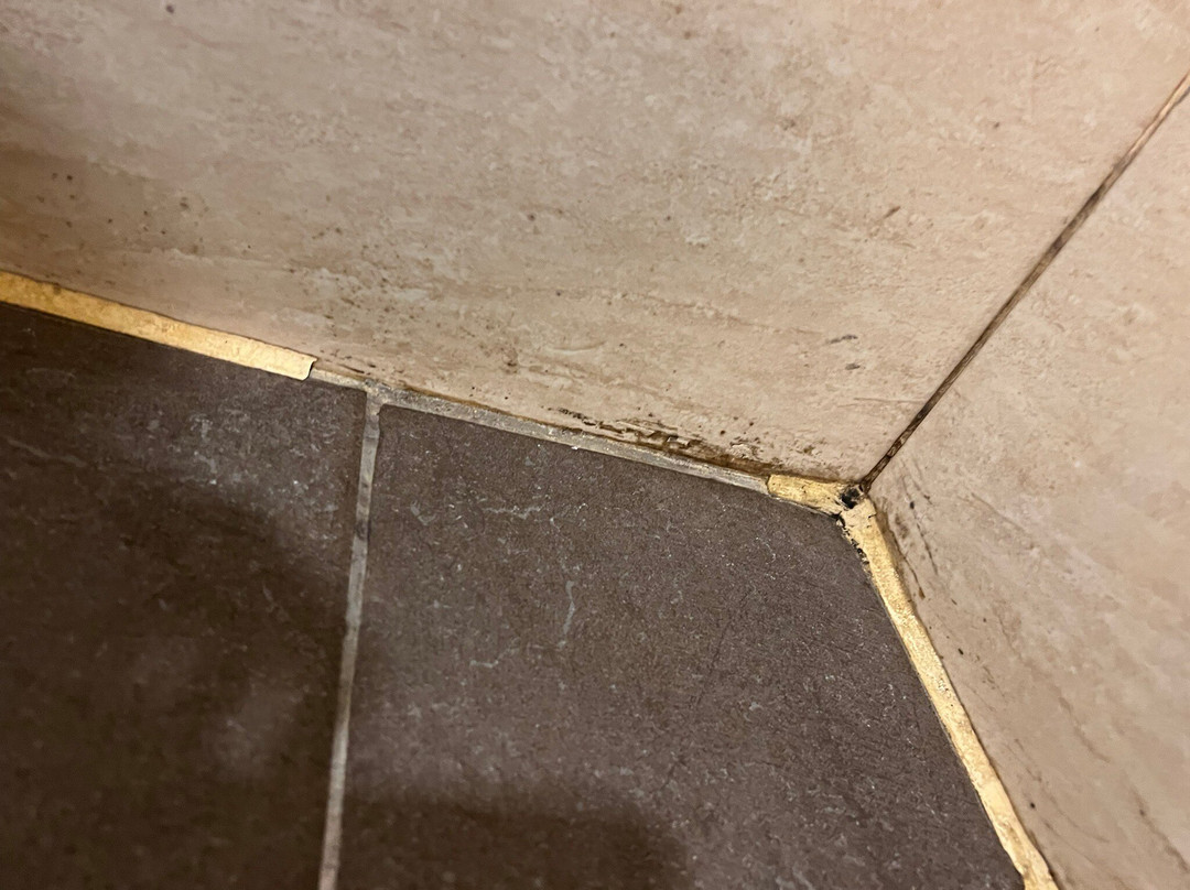 哥打京那巴鲁婆罗洲酒店&机场酒店主图