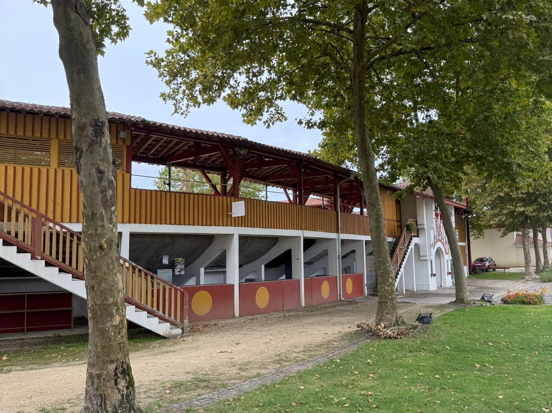 Arènes De Rion Des Landes-Rion-des-Landes必去景点