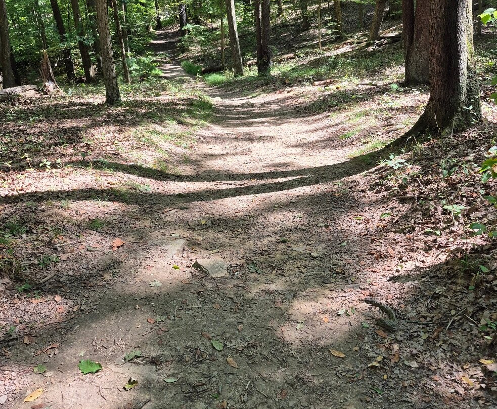 Coopers Rock State Forest-Bruceton Mills必去景点