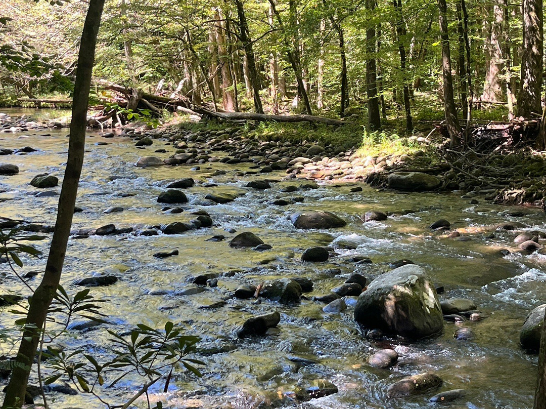 Gatlinburg Trail-大雾山国家公园必去景点