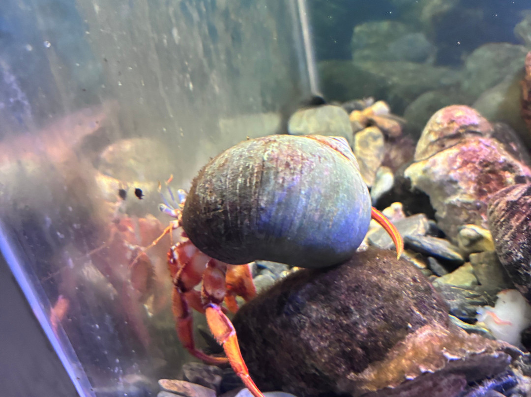 Oceanarium And Education Center-巴港必去景点