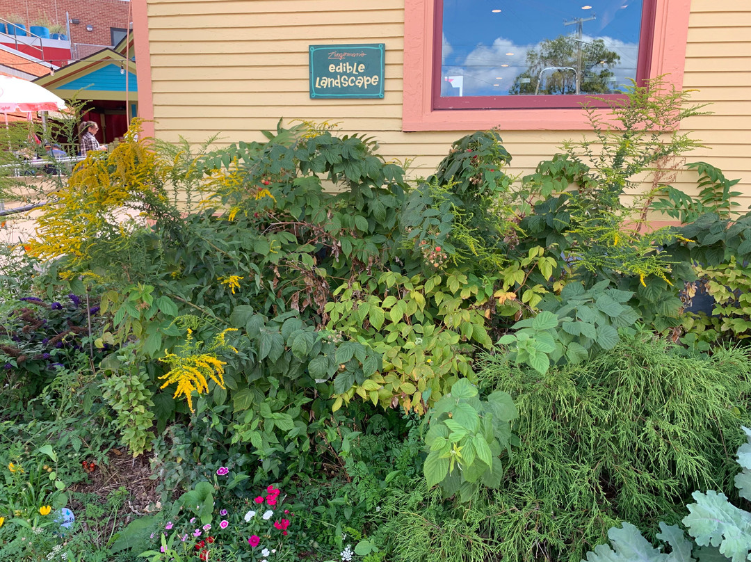 主街-安娜堡必去景点