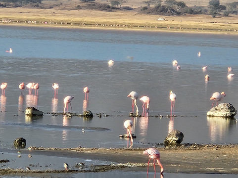 Africa Yetu Safaris-阿鲁沙必去景点