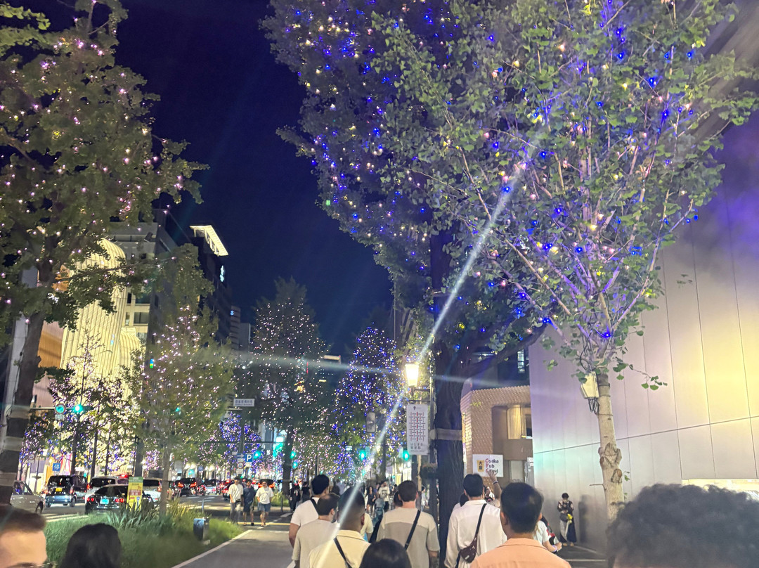 Osaka Pub Crawl-大阪市必去景点