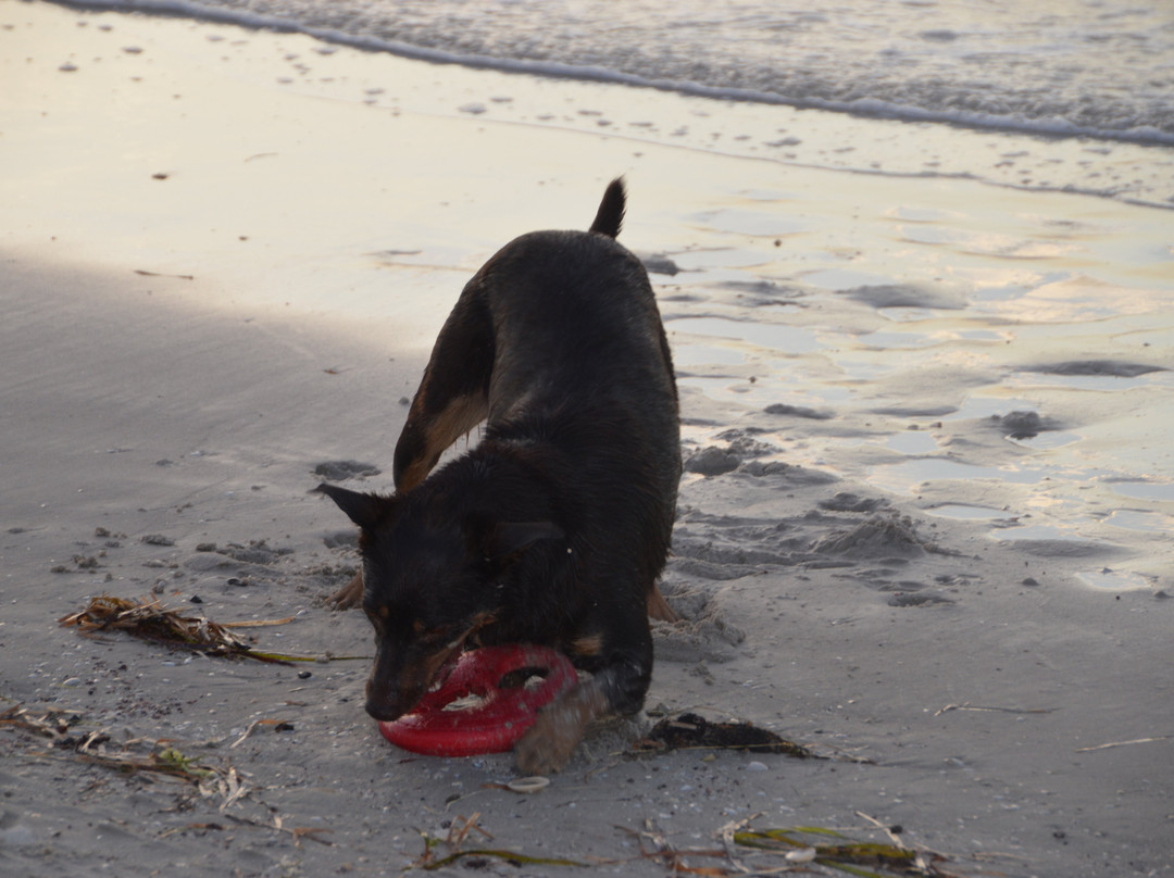 Grange Jetty-Grange必去景点
