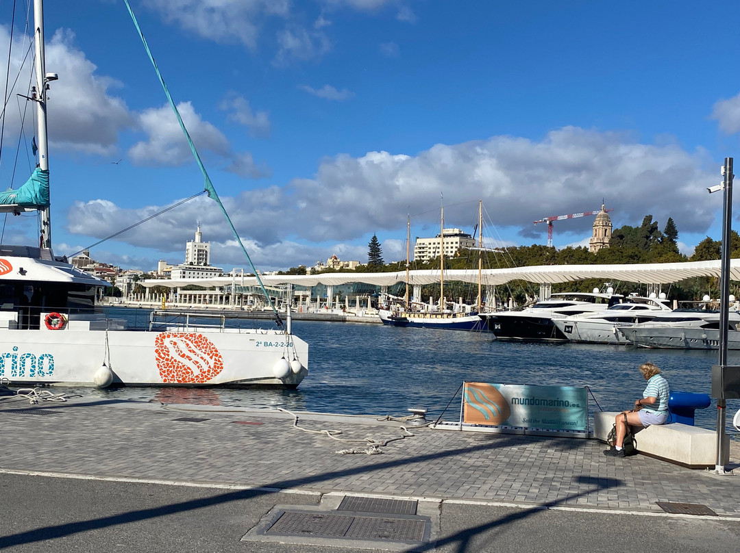 Muelle Uno-马拉加必去景点