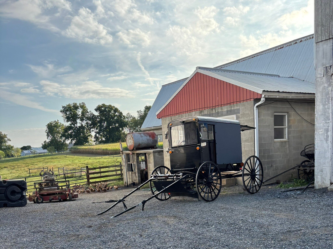 Amish Meals With The Blank Family-Narvon必去景点