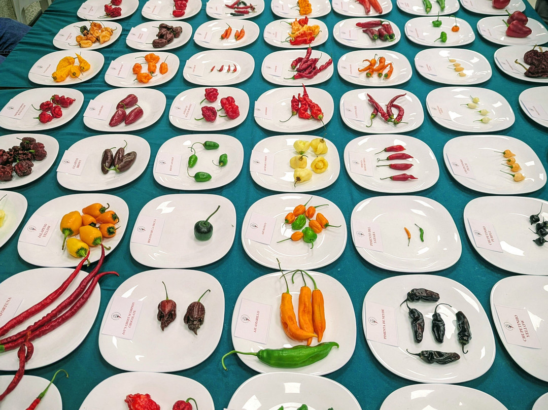 Peperoncino Festival-迪亚曼泰必去景点