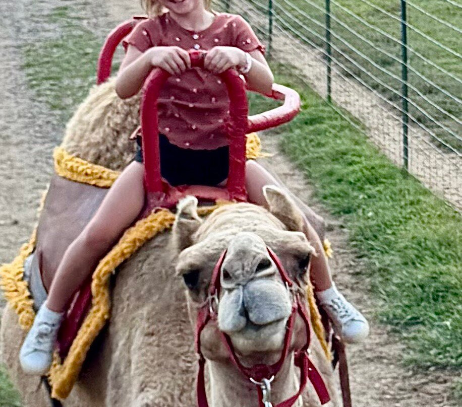 Ocoee Riverside Farm-Benton必去景点