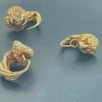 National Archaeological Museum of Crotone-克罗托内必去景点