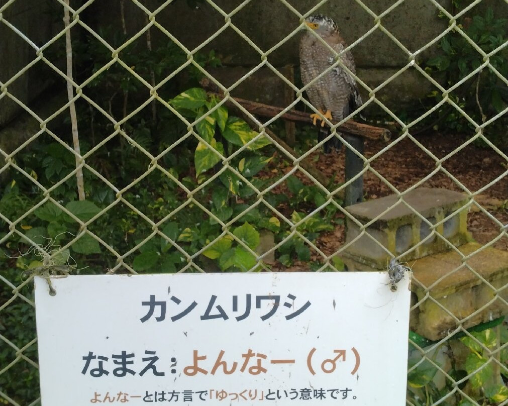 Ishigaki Yaima Village-石垣市必去景点