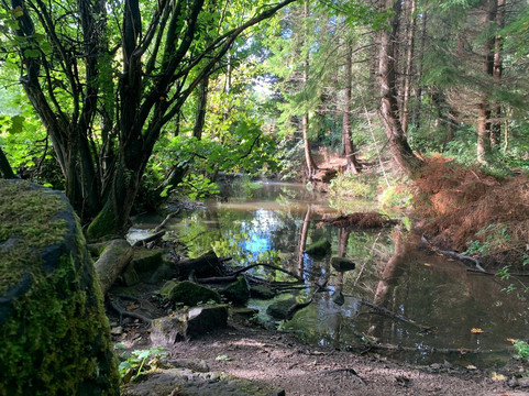 Écosse Voyage-爱丁堡必去景点