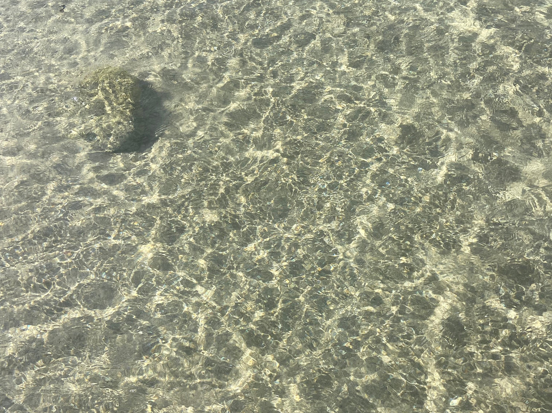 Scoglio di Peppino-Costa Rei必去景点