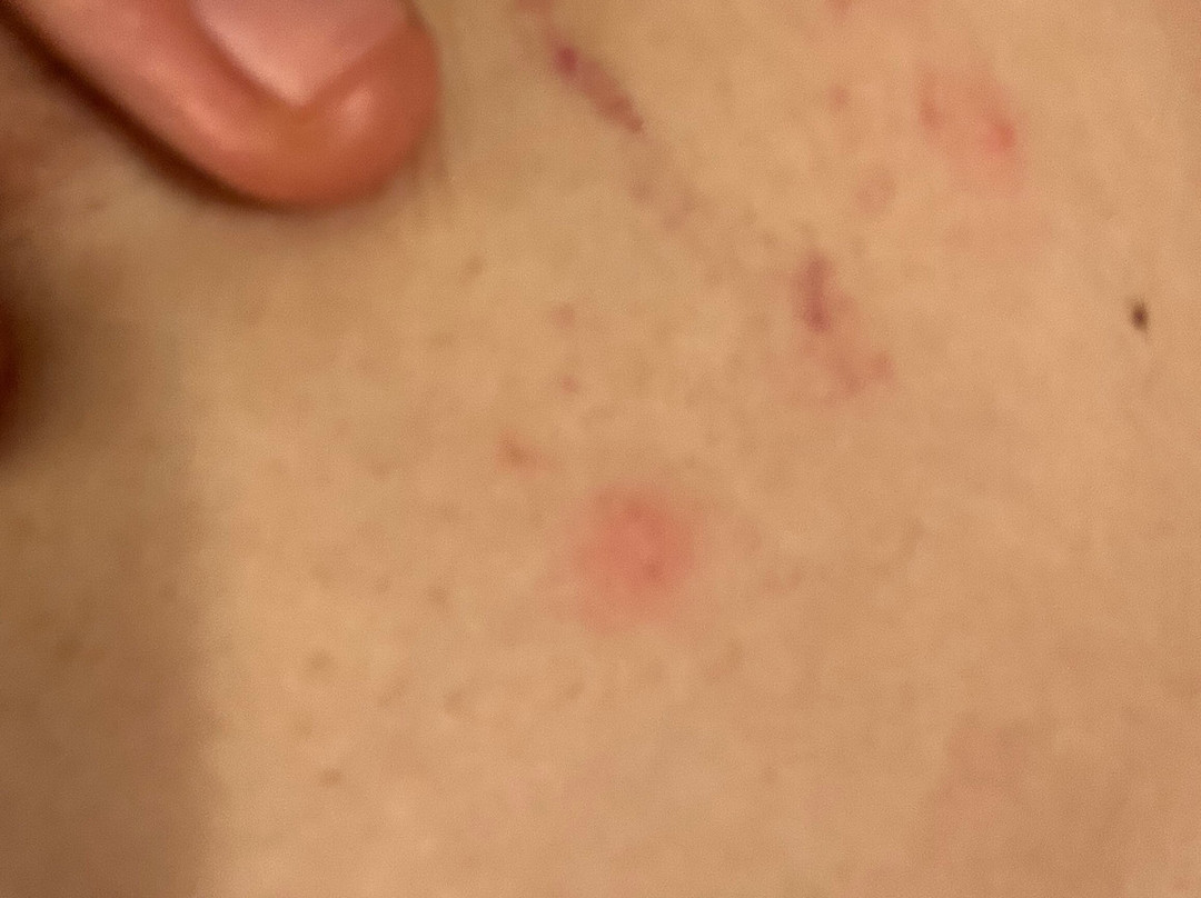 宜必思尚品那慕尔酒店（2021 年 7 月开业）主图