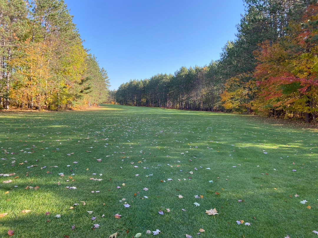 Twin Birch Golf Course-Kalkaska必去景点
