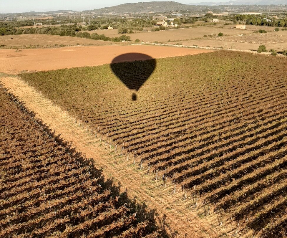 Mallorca Balloons-爱博纳必去景点