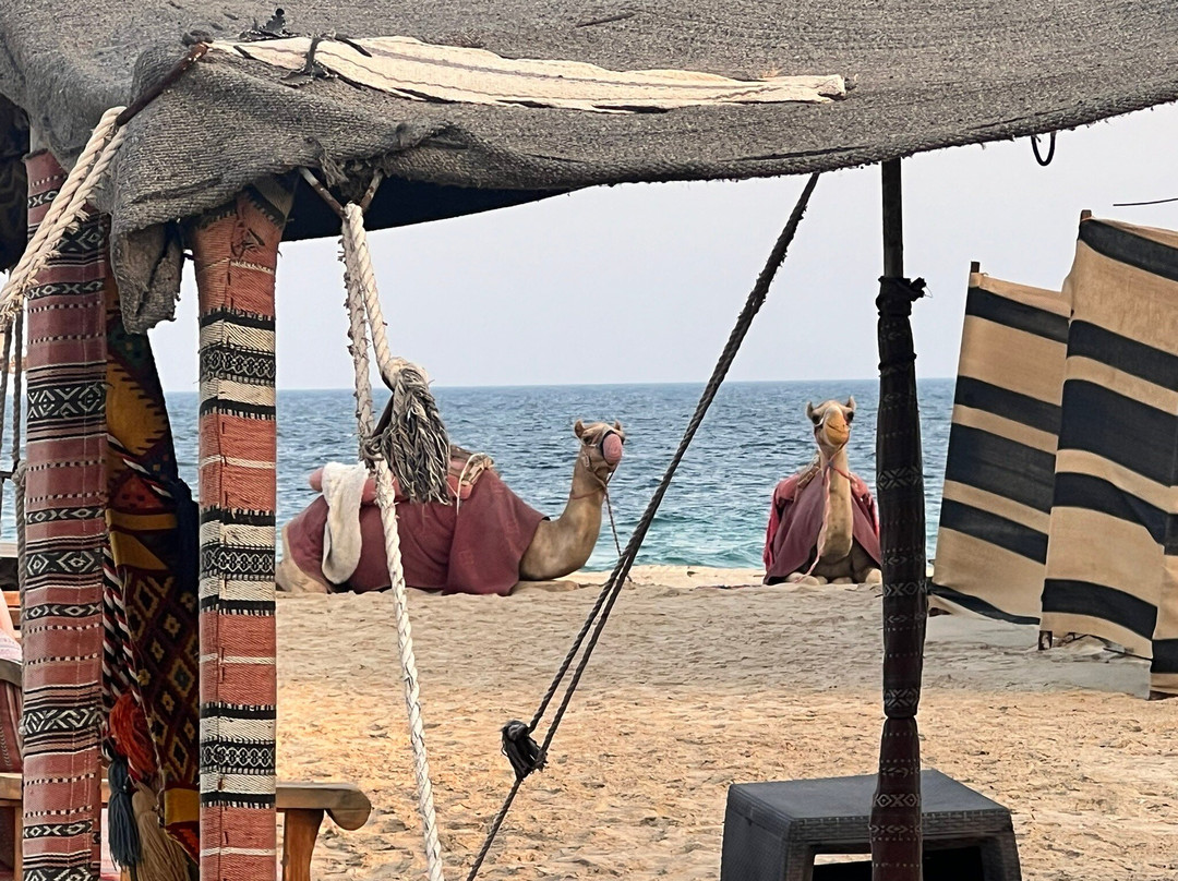 Amy Tours Kz-Taraz必去景点