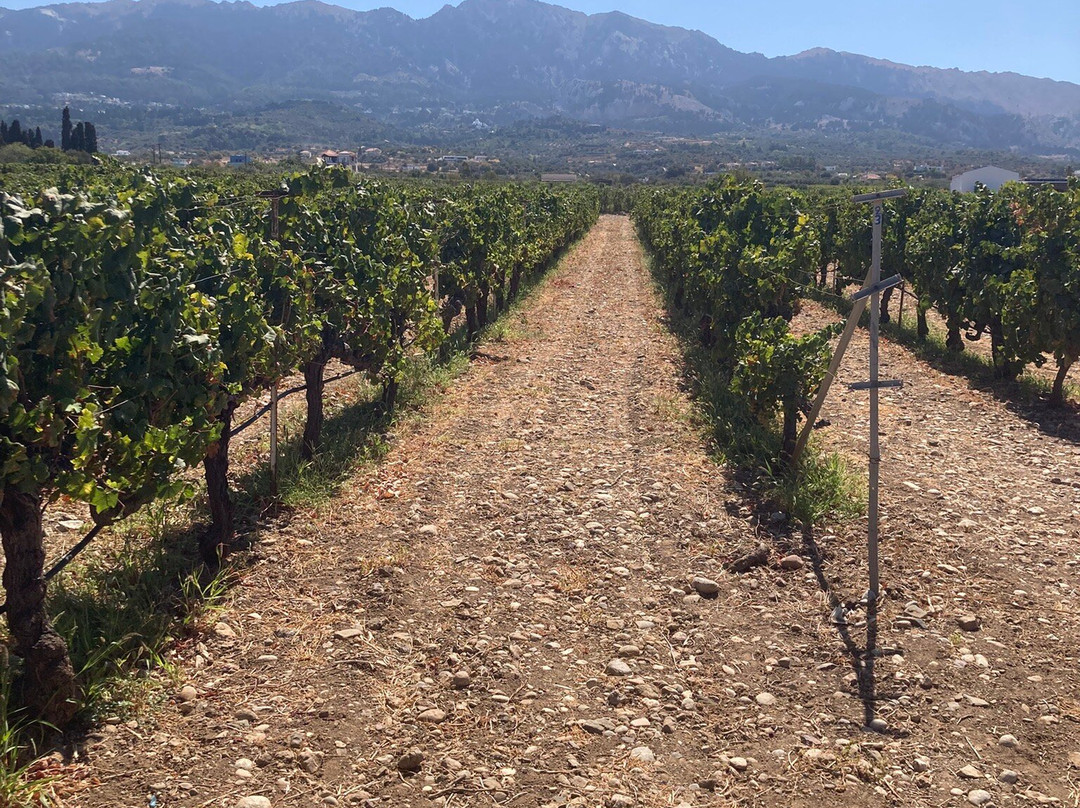 Hatziemmanouil Winery-Linopotis必去景点