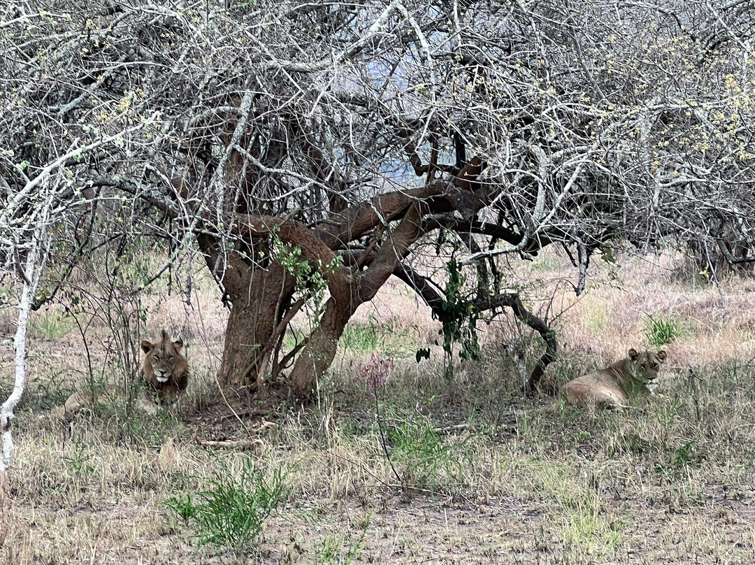 Kingfisher Journeys-吉佳利必去景点