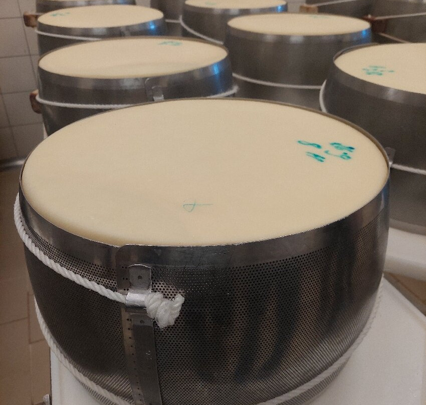 Azienda Agricola Bertinelli-Medesano必去景点