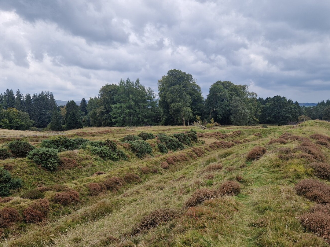 Ardoch Roman Fort-Braco必去景点