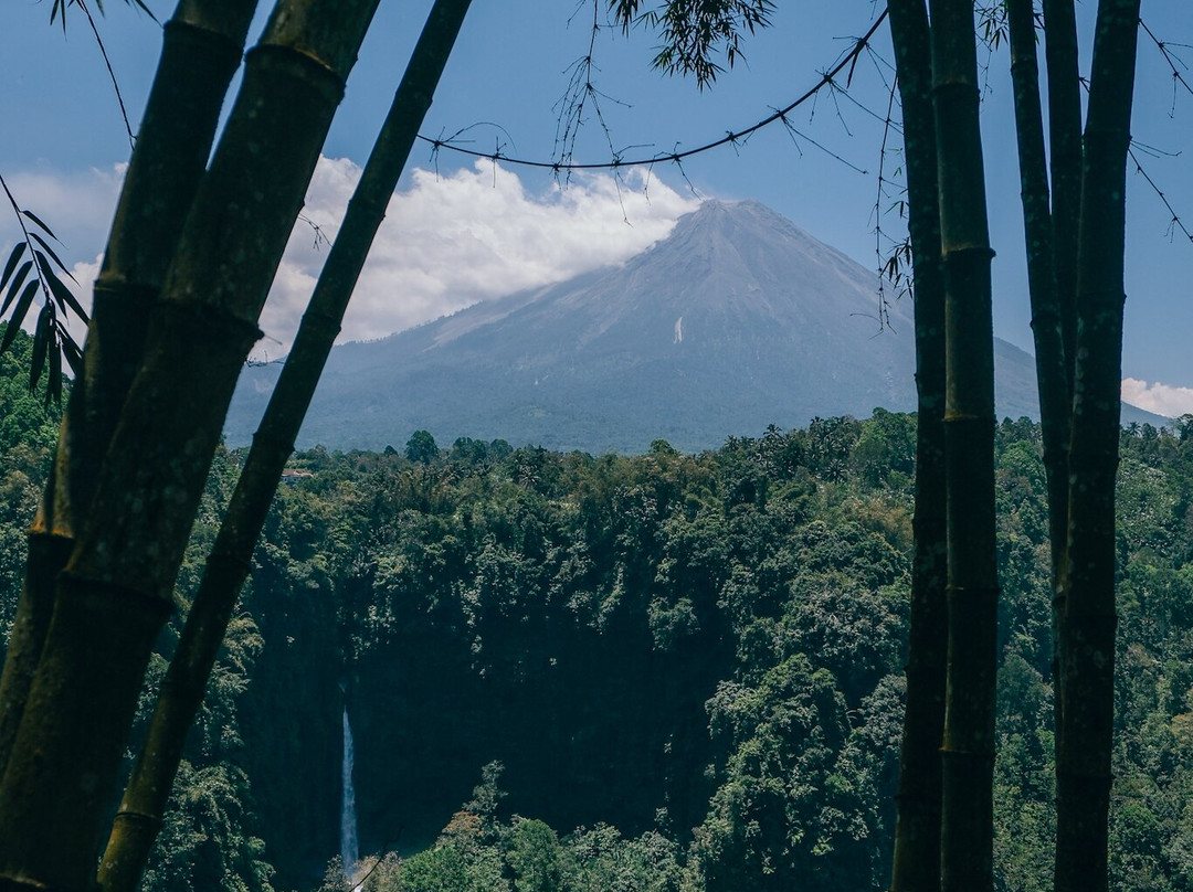 Private Driver Surabaya - Day Tours And Travel Guide-泗水必去景点