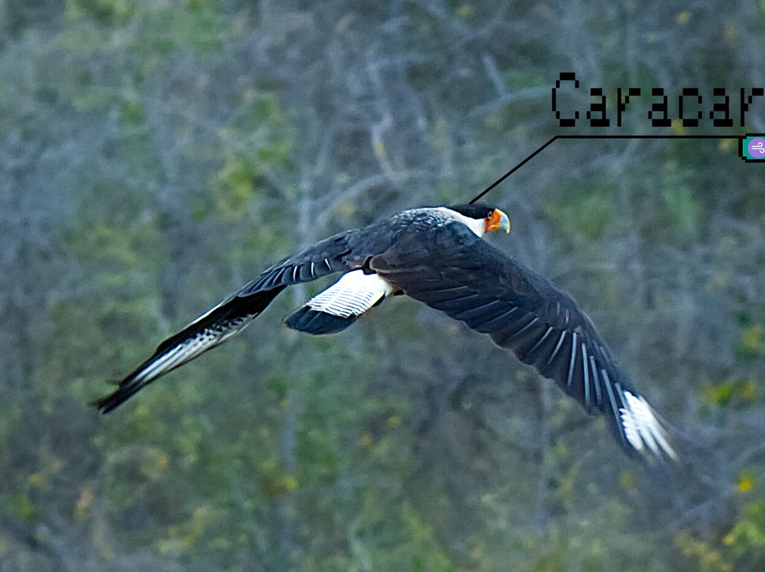 VyctoriaStars Observatorio Astronómico Tatacoa-Villavieja必去景点