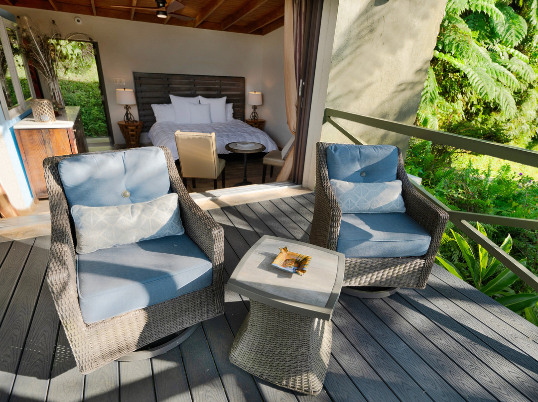 Mont Carpe Diem主图