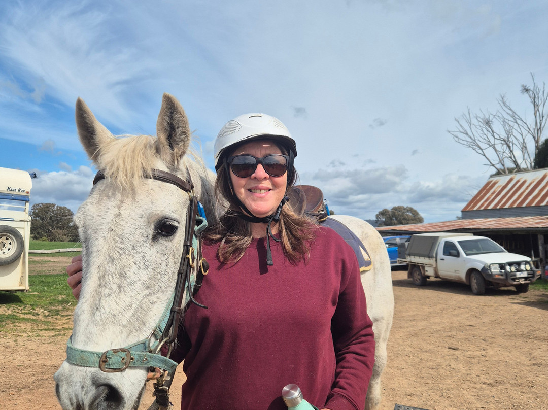 Watson's Mountain Country Trail Rides - Day Tours-曼斯菲尔德必去景点