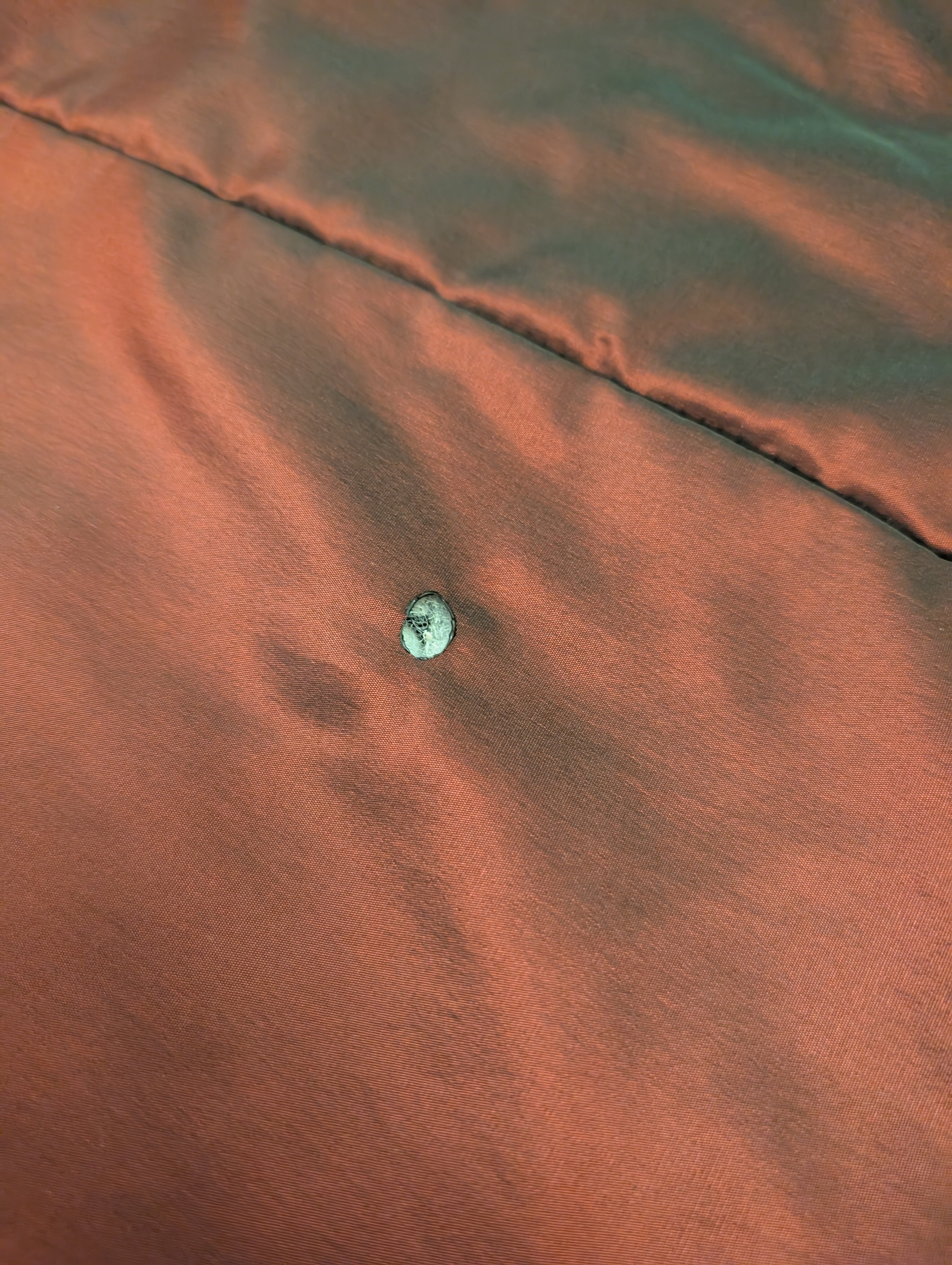 Hotel El Djazair-官方