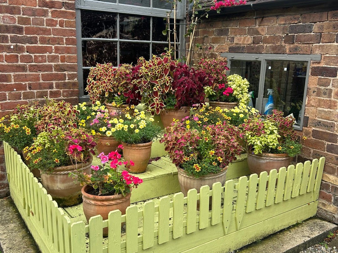 Bewdley Museum-Bewdley必去景点