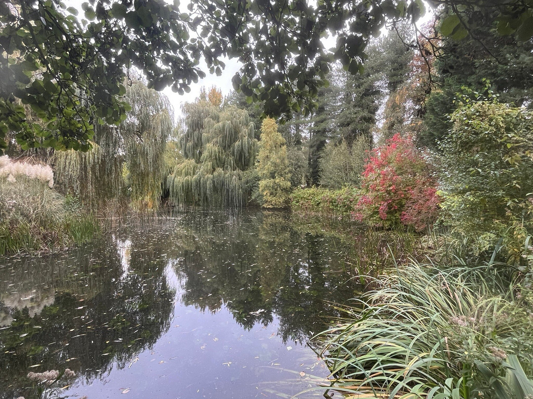 Gooderstone Water Gardens & Nature Trails-金斯林必去景点