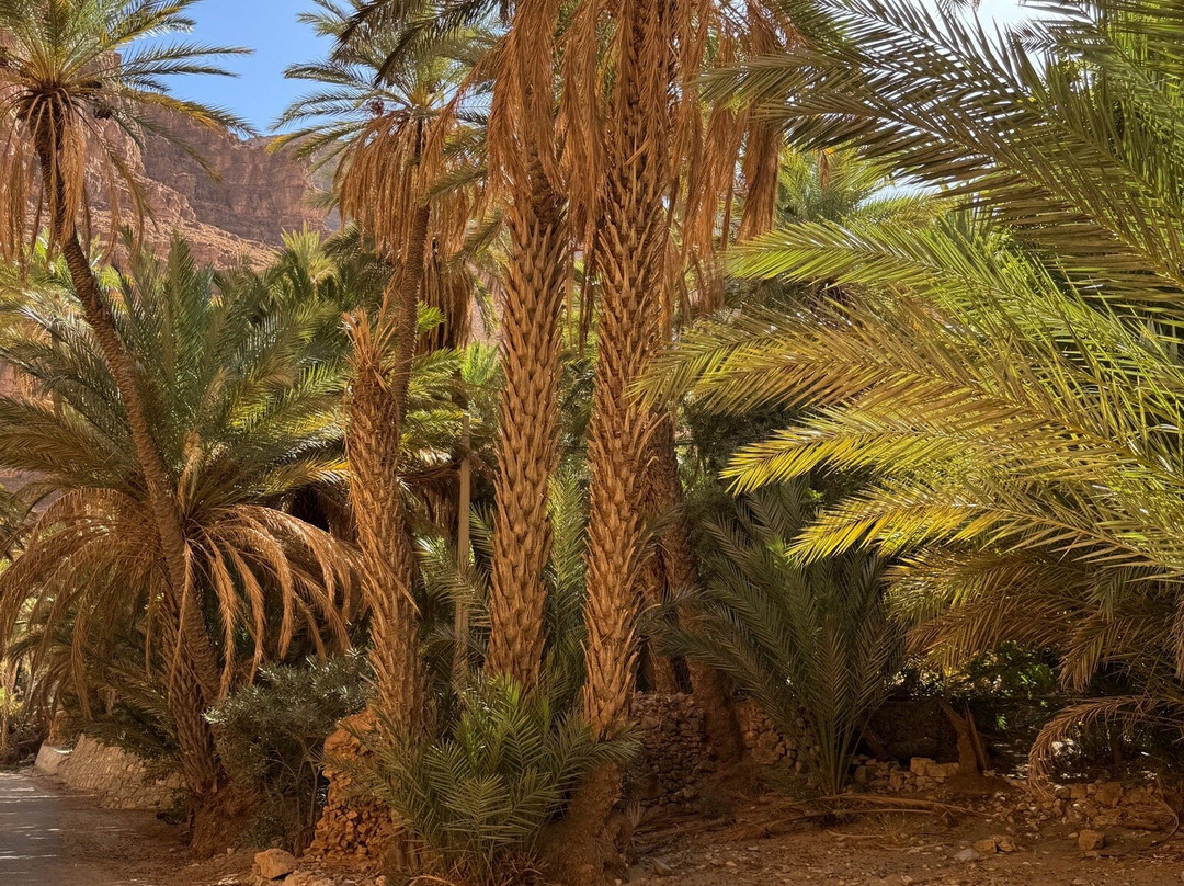 Vallee d'Ait Mansour-Tafraoute必去景点