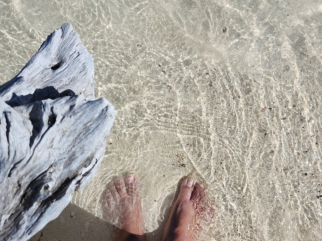 Snorkel Park Beach Club-Somerset Village必去景点