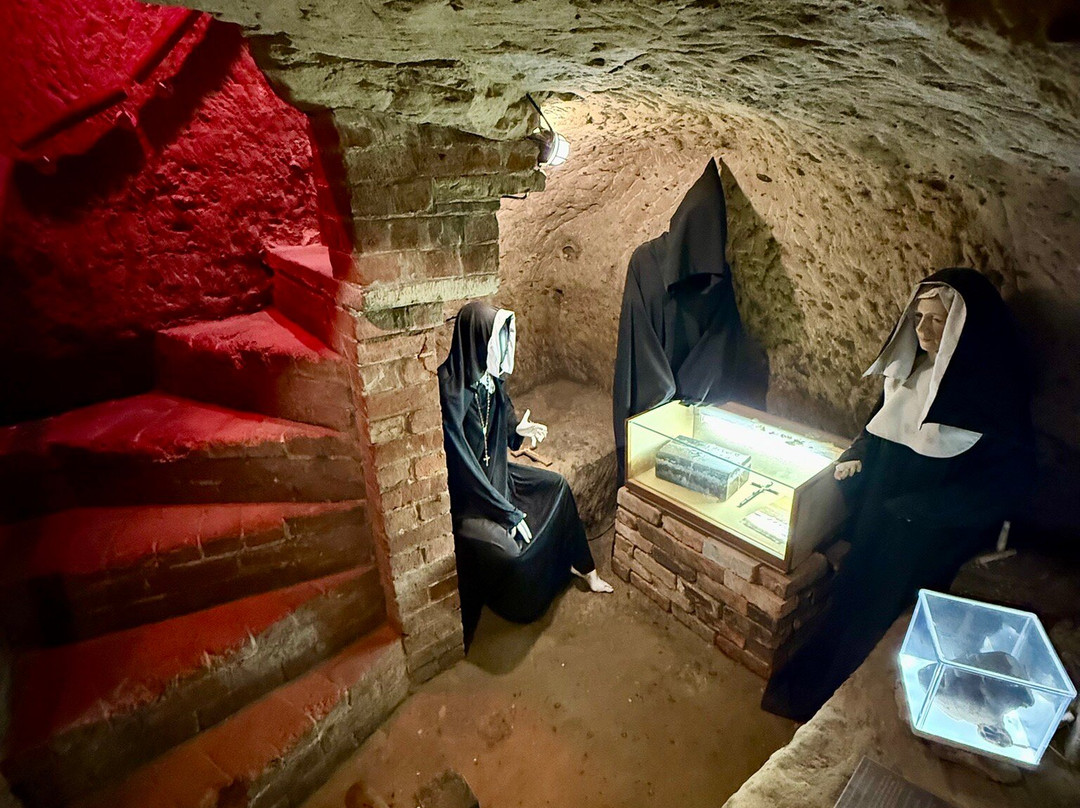 The Museum Of Curiosities-诺丁汉必去景点