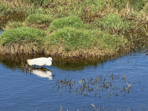 People Like Us Safaris-开普敦中心区必去景点
