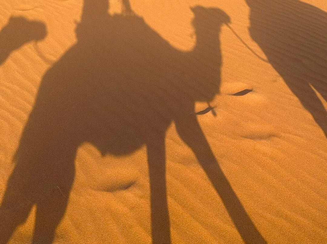 Sahara Relax-扎古拉必去景点