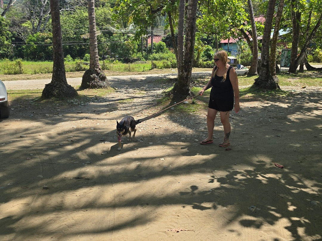 Playa Dominical-主日镇必去景点