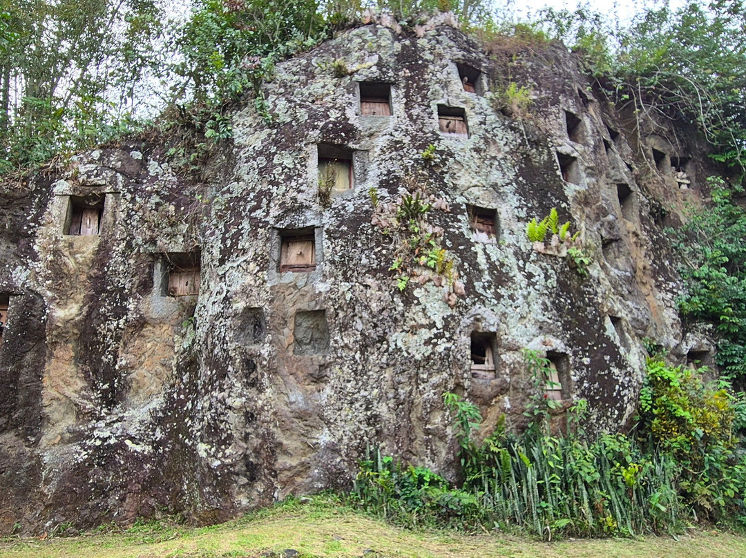TORAJA TOUR WITH GUIDE SERVICE.-Tana Toraja必去景点