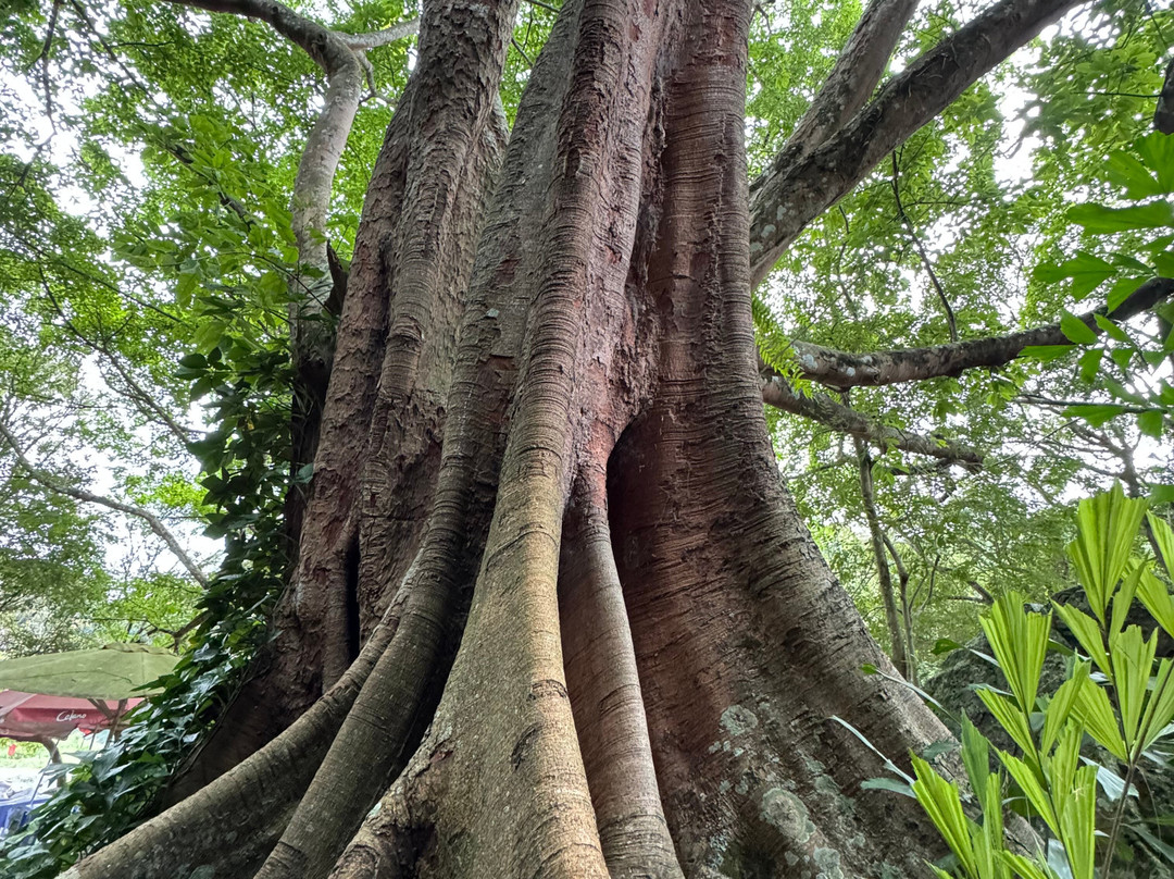 Mr. Peace's Tour Dalat-大勒必去景点