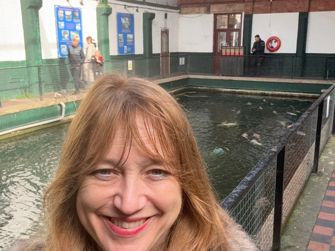 Matlock Bath Aquarium & Exhibitions-Matlock Bath必去景点