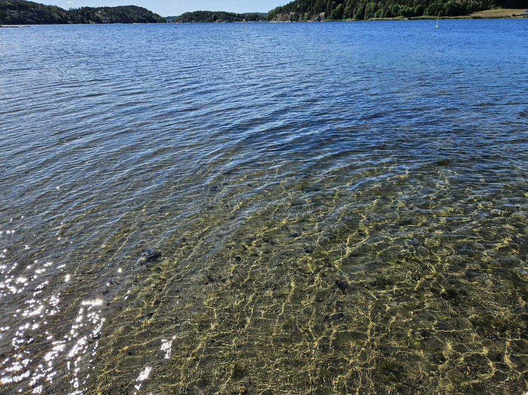 Vispen Beach-腓特烈斯塔必去景点
